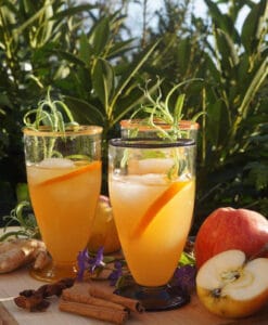 Sommer gløgg fra Snoremark